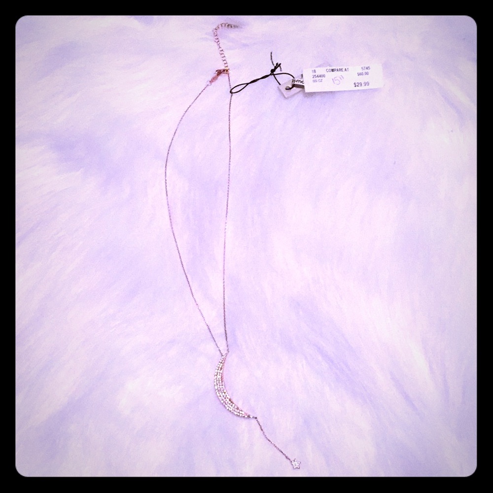 🌟NWT🌟 Devin Rose Rosegold Necklace 🌟